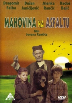 Mahovina na asfaltu