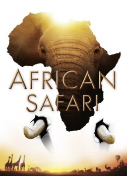 Safari u Africi